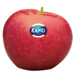 719323.png