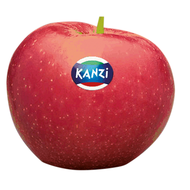 719323.png