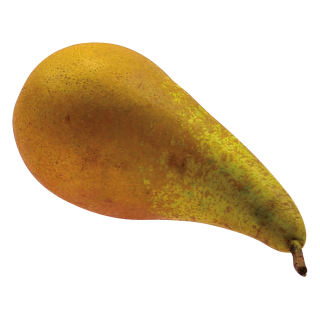 720011.png