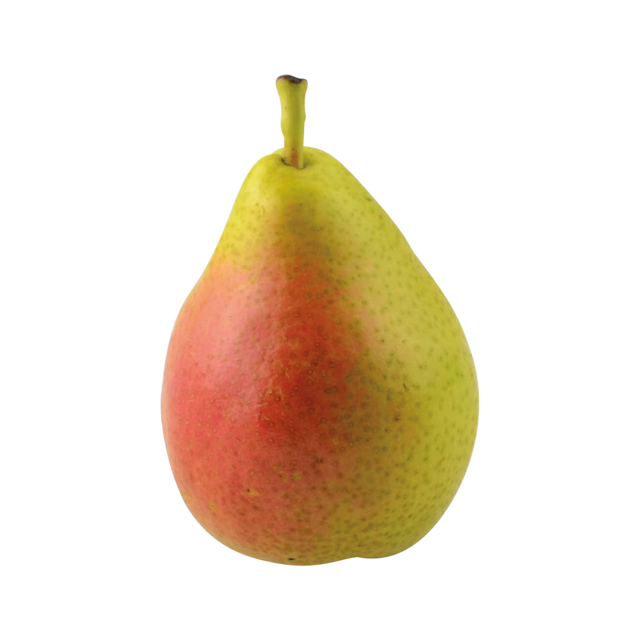 723606.png