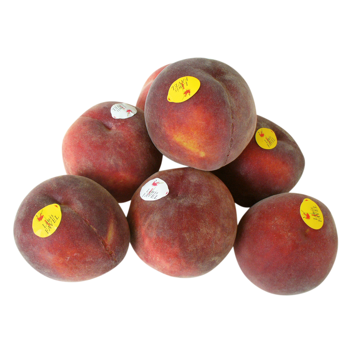 731196.png