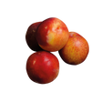 731730.png