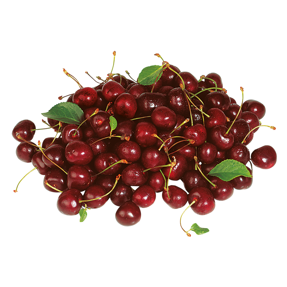 732001.png