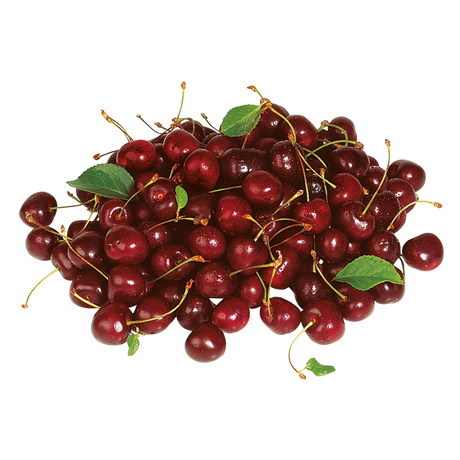 732001.png