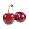 732125.png