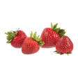 732532.png