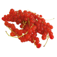 735116.png