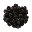 735299.png