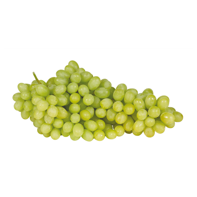 740527.png