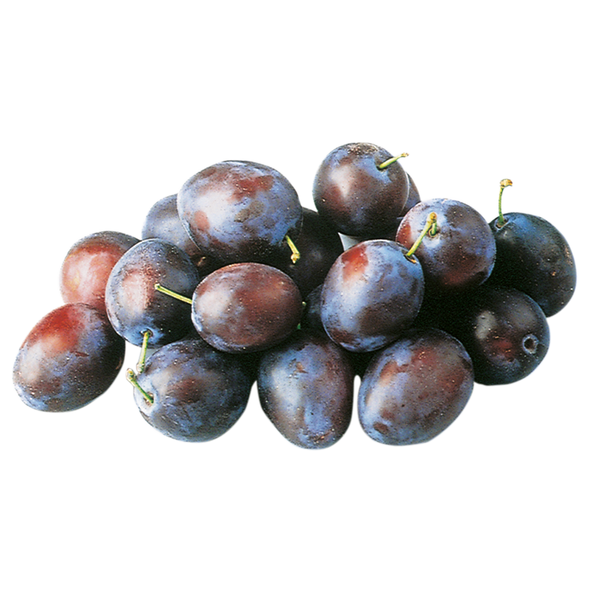 742201.png