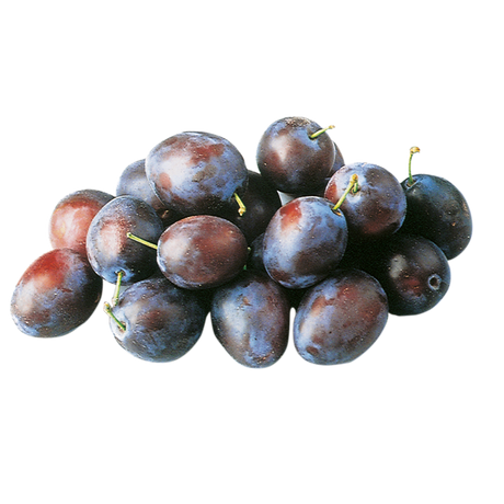 742201.png