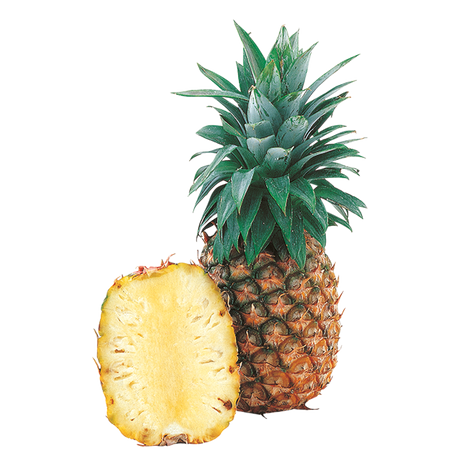744506.png