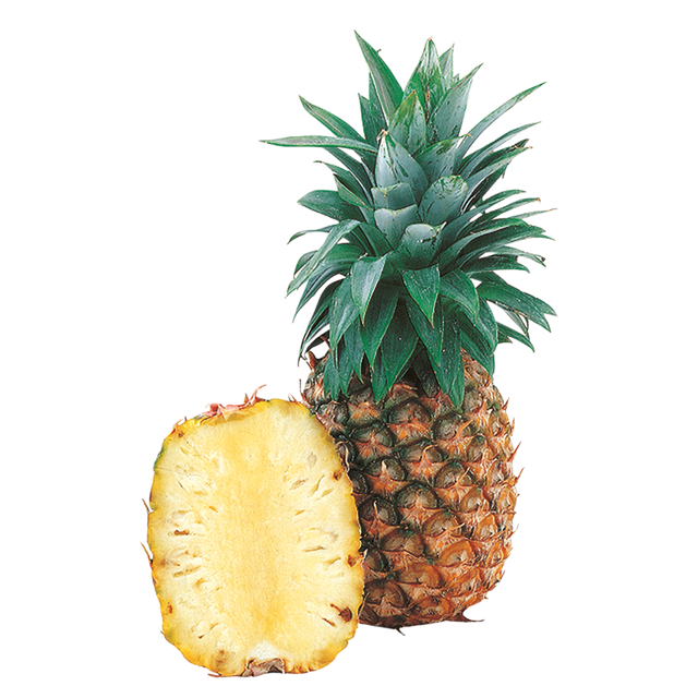 744506.png