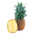 744514.png