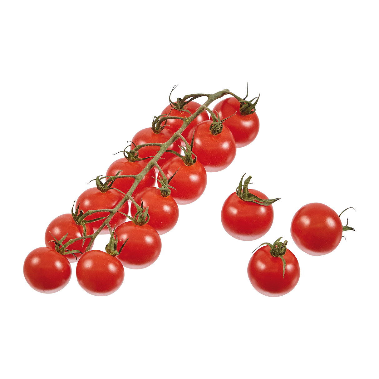 760544.png