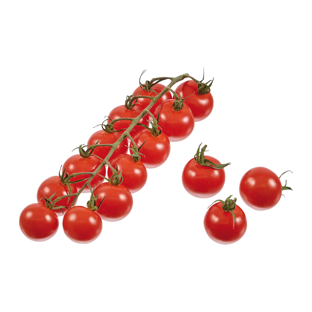 760544.png