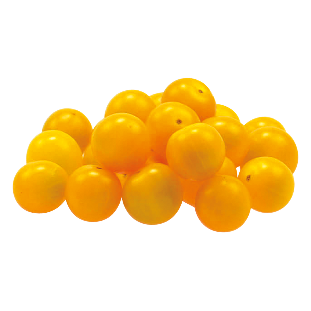 760552.png