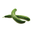 761052.png