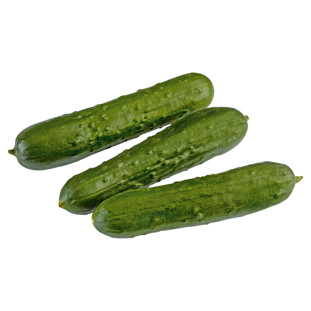761060.png