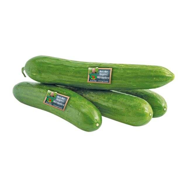 761222.png