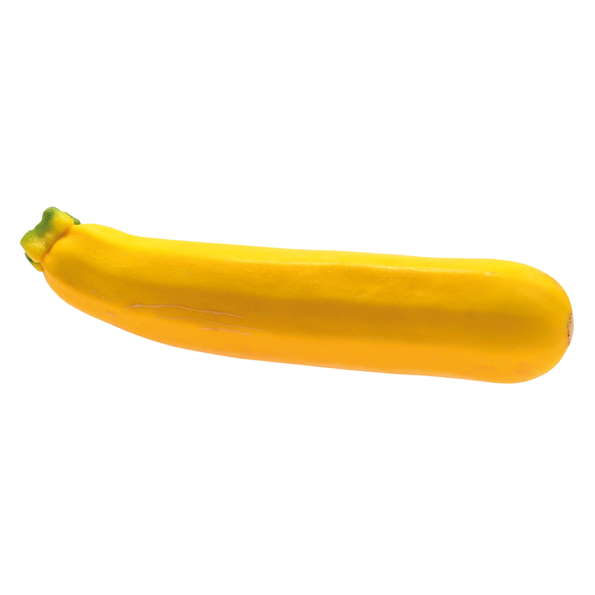 761729.png