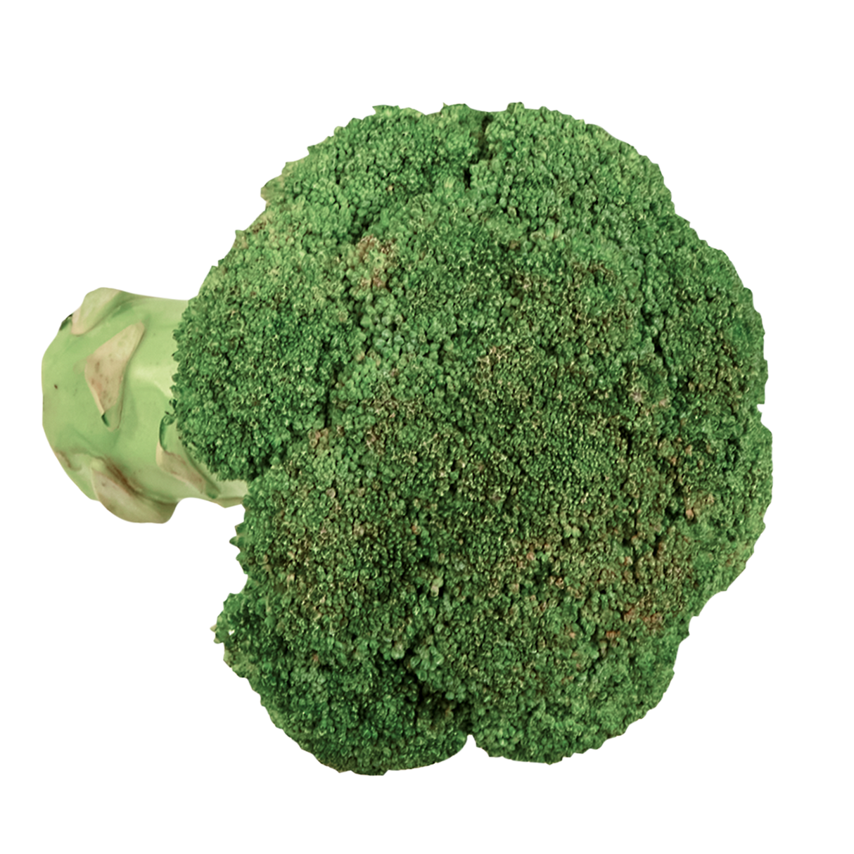 761974.png