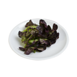 763535.png