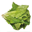 763802.png