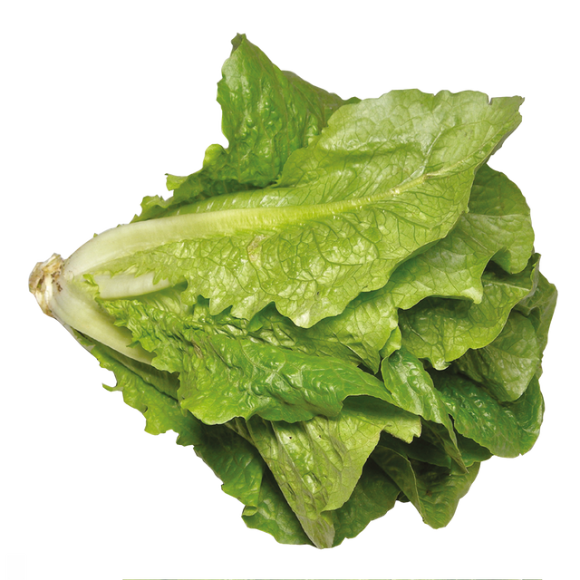 763802.png