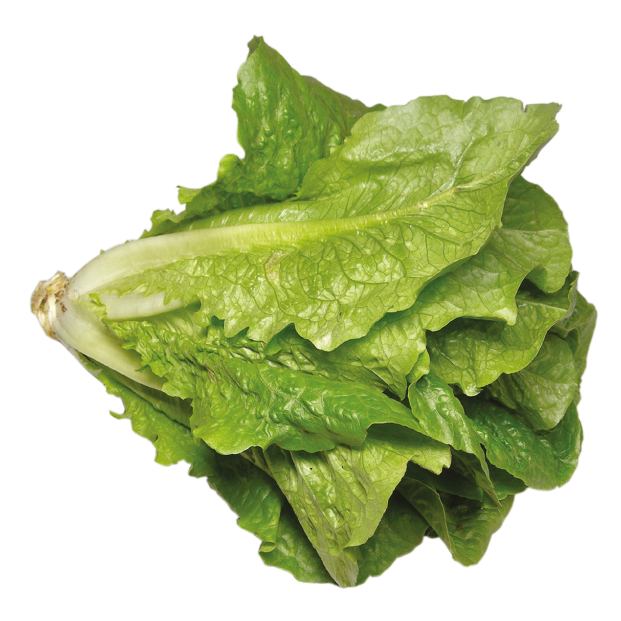 763918.png