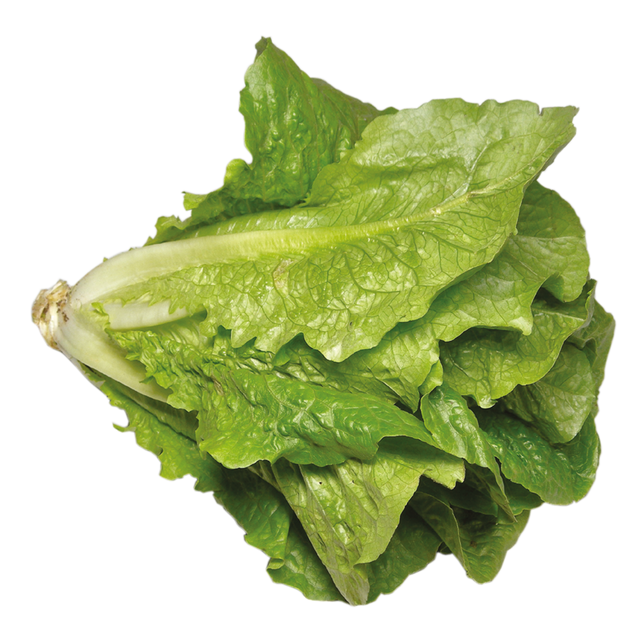 763918.png