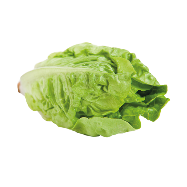 764108.png