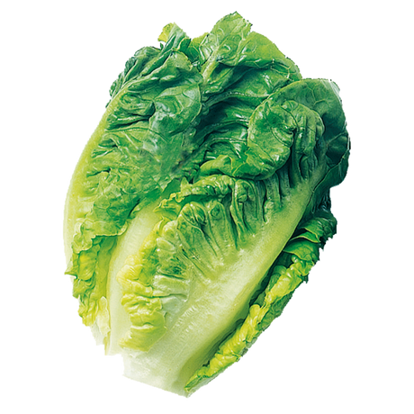 764116.png