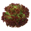 764310.png