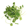 764558.png