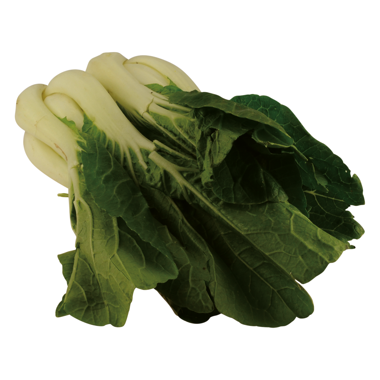 764639.png