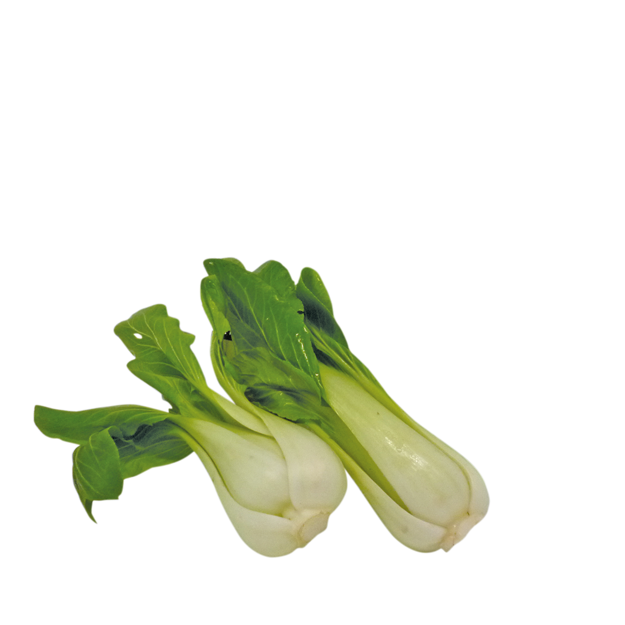 764922.png