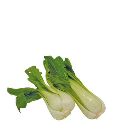 764922.png