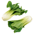 765082.png
