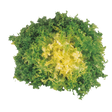 765171.png