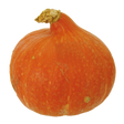 765600.png