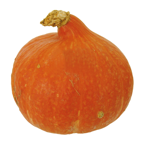 765600.png