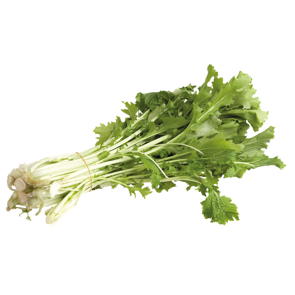 768502.png