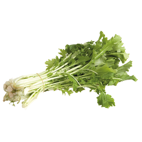 768510.png