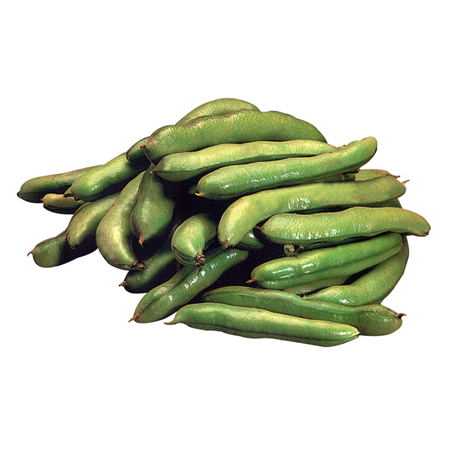 771015.png