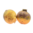 772038.png