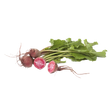772607.png