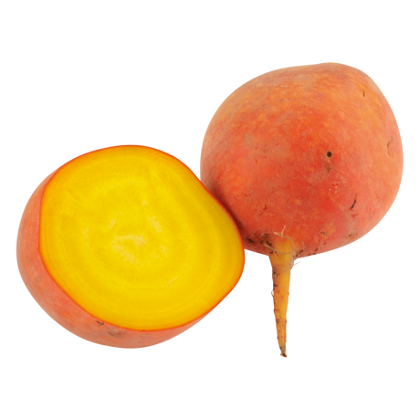 773042.png