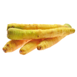 773204.png