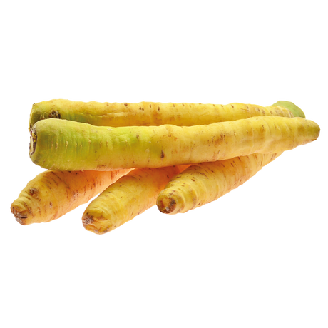 773204.png
